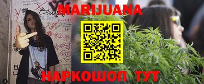 шишки Лесосибирск