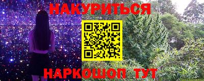 шишки Лесосибирск