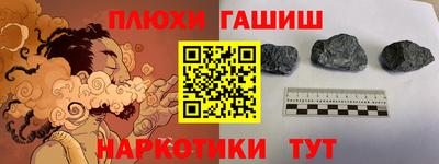 шишки Лесосибирск