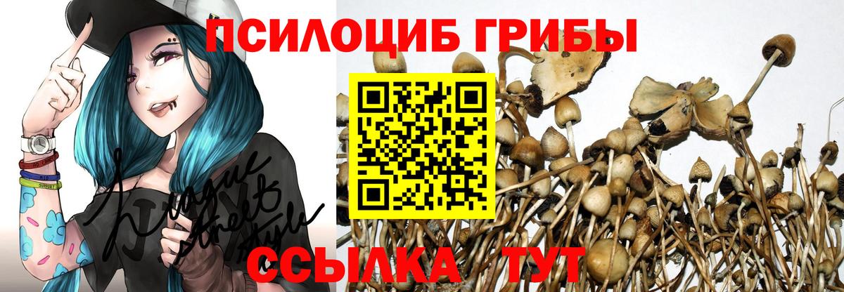 Галлюциногенные грибы GOLDEN TEACHER  Вход с VPN  Черкесск 