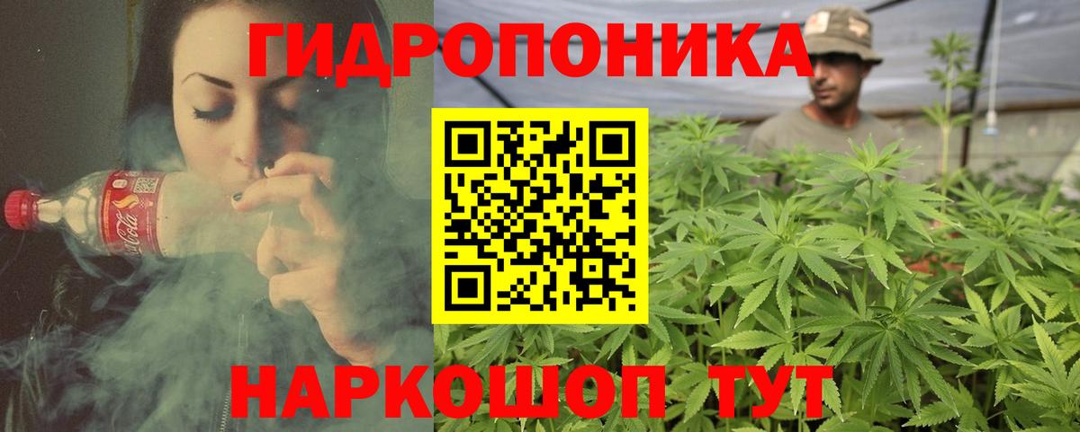 Каннабис марихуана  Бошки Шишки семена  Черкесск  Шишки марихуана сатива  Вход с VPN 